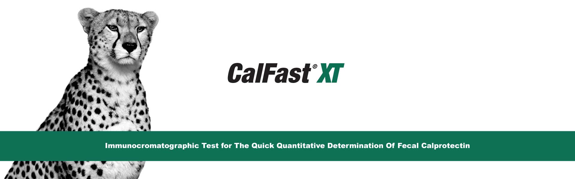 CalFast XT, a non-invasive test developed by Eurospital