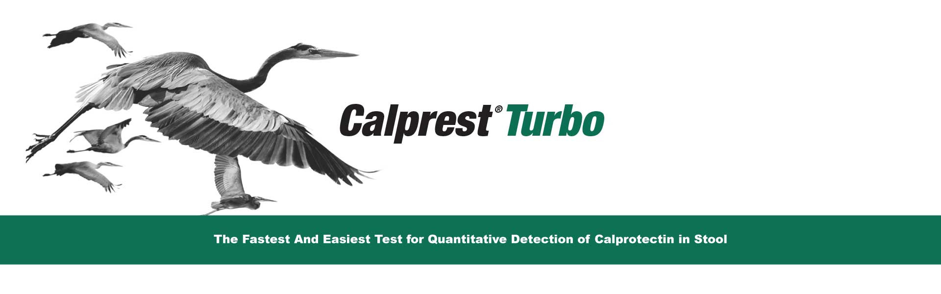 Calprest TURBO is the new approach Eurospital offers to verify, in an accurate and non-invasive way, the presence of an inflammatory state of the intestinal tract.