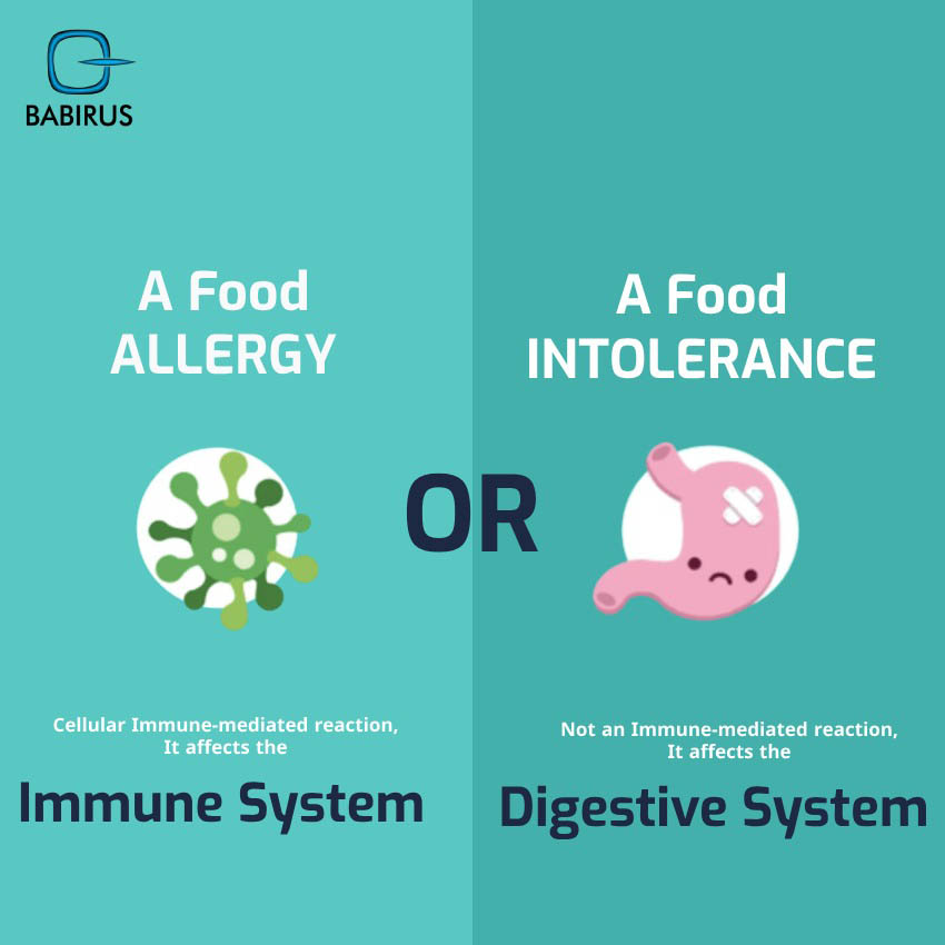 The Difference Between a Food allergy and Food intolerance? | Babirus