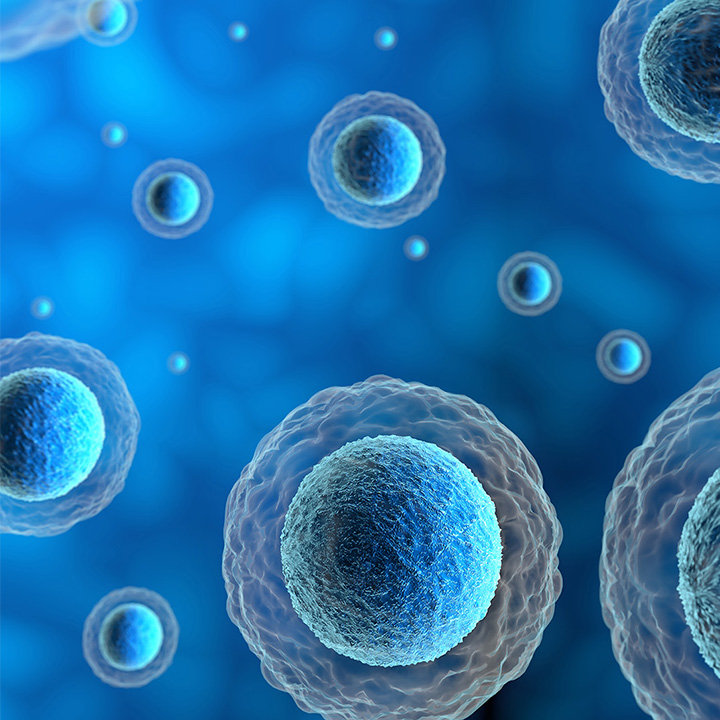 Corona virus COVID-19 virus SARS-CoV-2