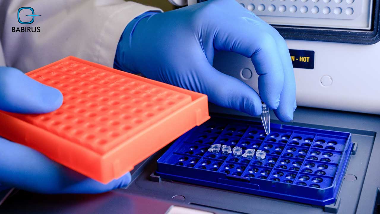 Molecular Diagnostic Tests Types | Babirus