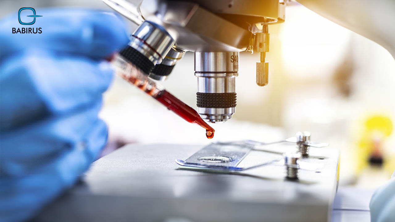 Common Hematology Tests | Babirus