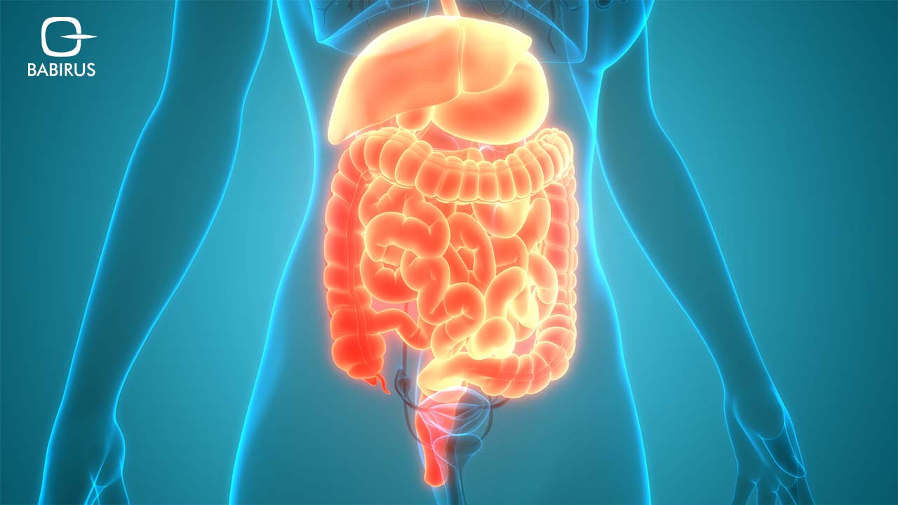 Nourishing Foods for Digestive Health