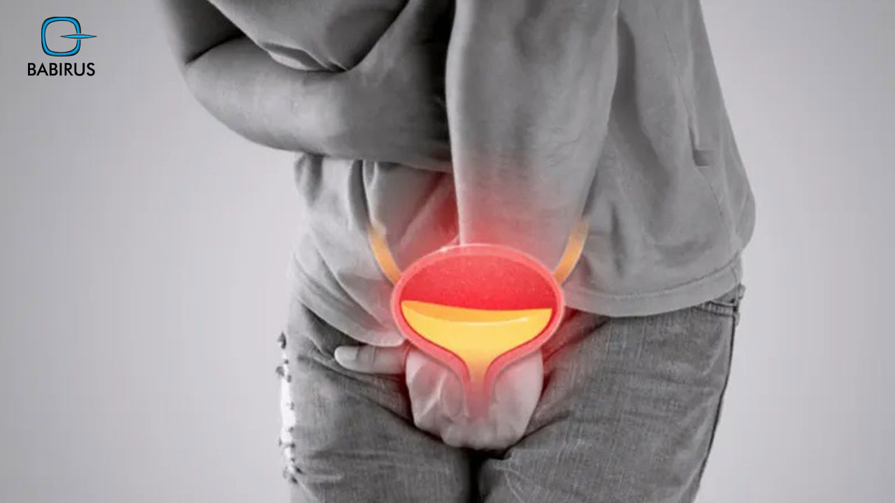 Urinary Tract Infection Symptoms | Babirus