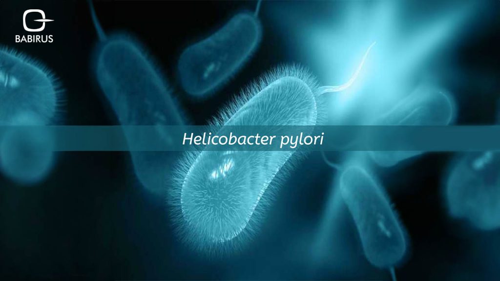 H.Pylori
