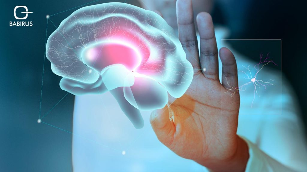 Main Causes of Alzheimer