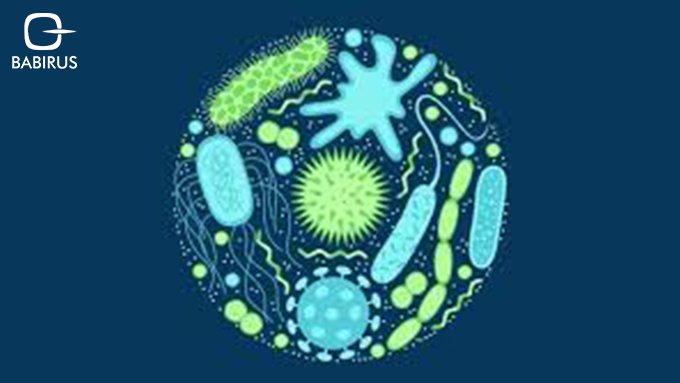 Antimicrobial Resistance