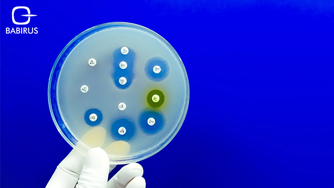 Antimicrobial Resistance