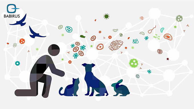 Emerging Zoonotic Diseases 