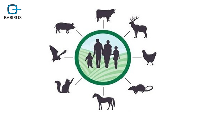 Emerging Zoonotic Diseases