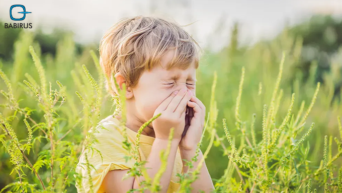 Environmental Allergies