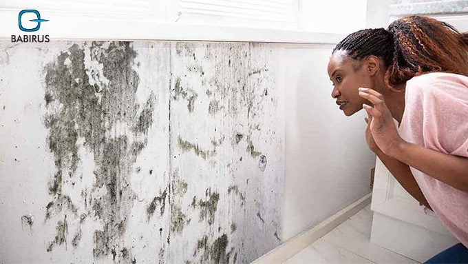Mold Allergy: Symptoms, Causes, and Accurate Testing
