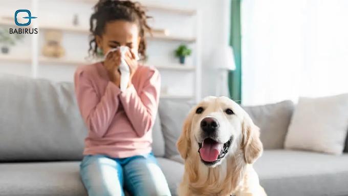 Understanding Pet Allergies: Key Signs and Testing