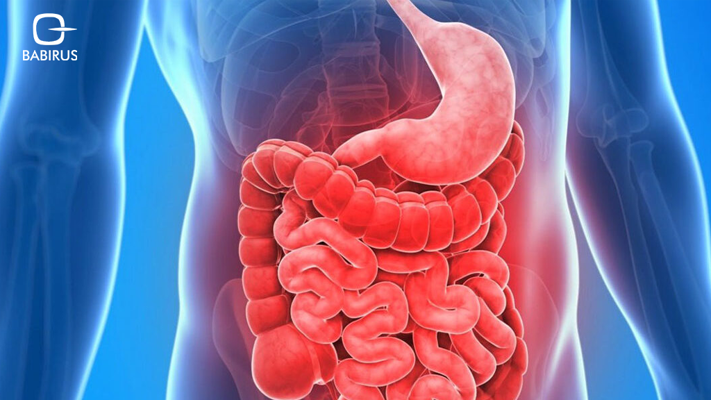 Environmental Triggers of Autoimmune Disease: Causes, Risks, and Testing 1 Diagram explaining autoimmune disease testing, including immune antibodies, inflammation markers, and gut health assessment
